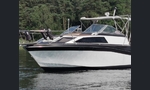 Bayliner 2550-kuva-17